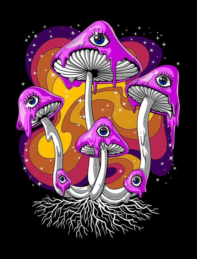 MAGIC MUSHROOM CHOCOLATE