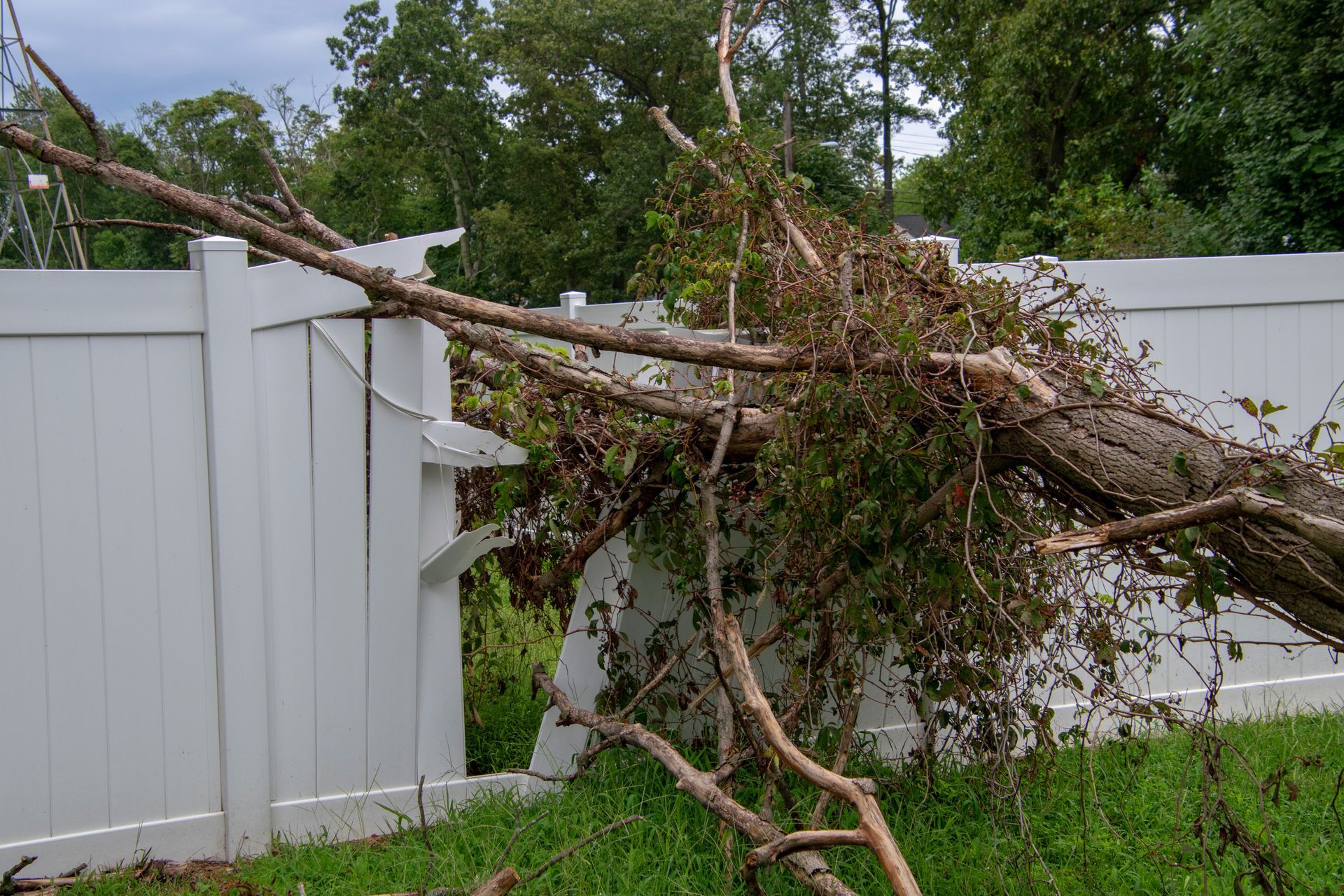 Storm-fallen tree limb crushes a white vinyl privacy fence.