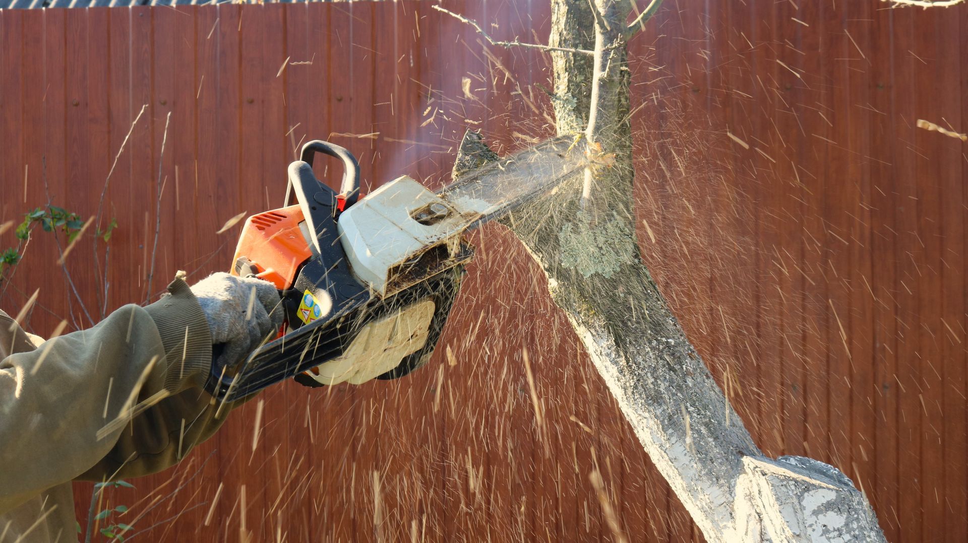 Professional using a chainsaw for home tree trimming in Euclid, OH, cutting a branch