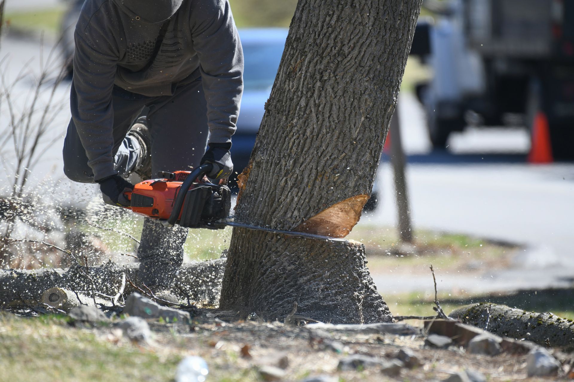 Worker manually sawing tree trunk for efficient and safe tree removal.