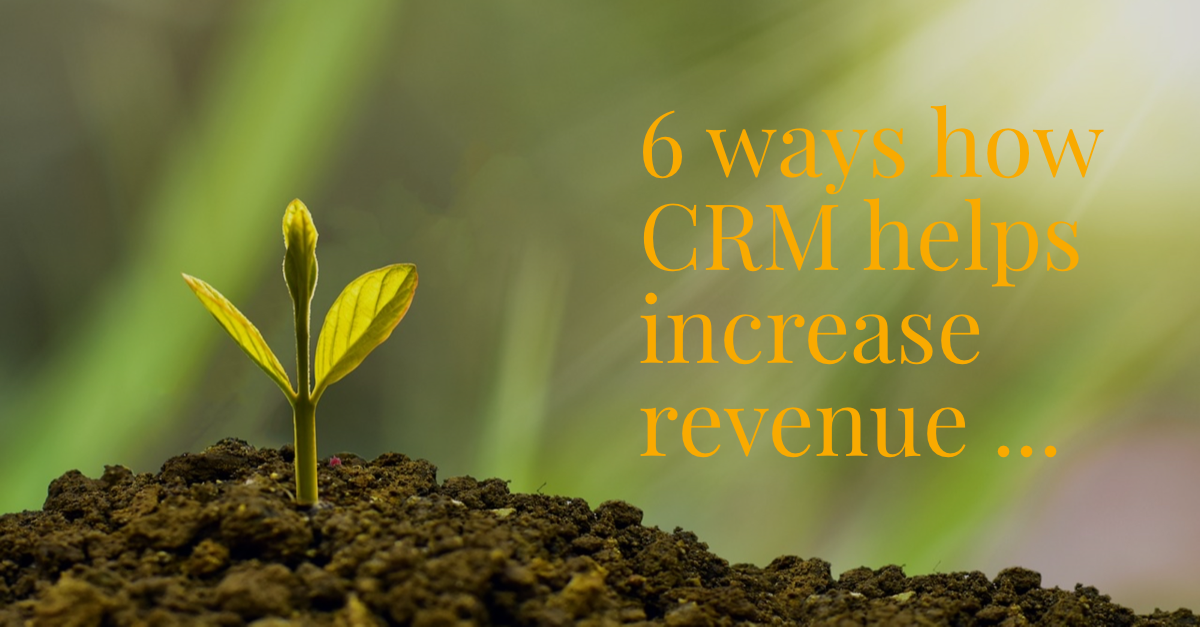 6 ways how CRM helps increase revenue 