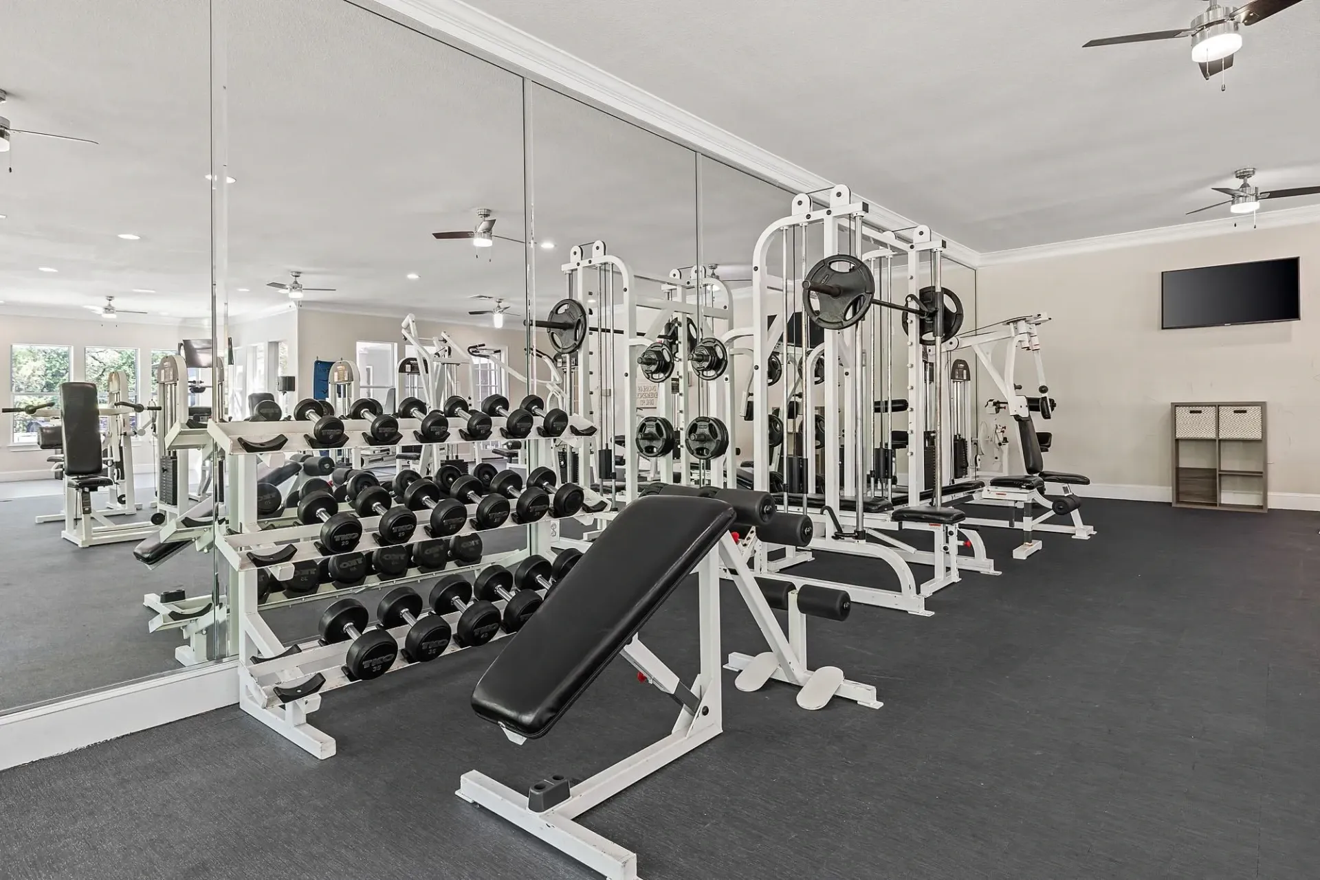Gym with free weights and weight machines.