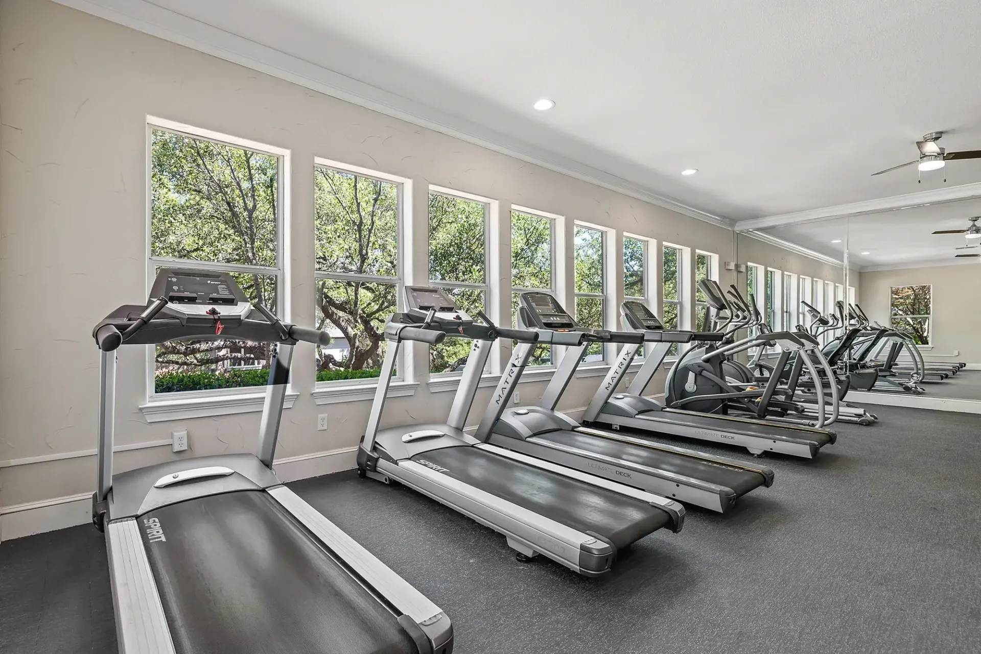 Row of treadmills and ellipticals in a well-lit fitness center with large windows.