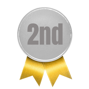 2nd place medal for best remodeler/contractor in Maine