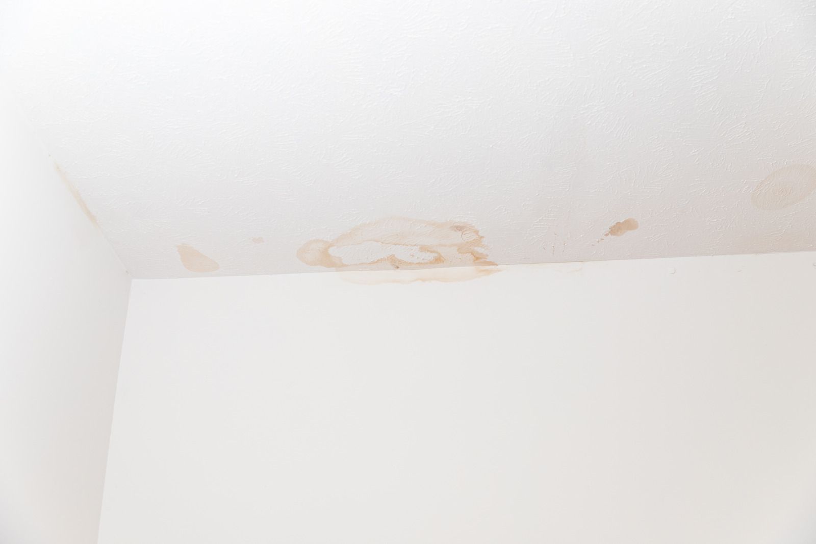 Water-stained white ceiling corner above a wall with beige discoloration and peeling marks