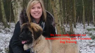 Training classes for you and your dog