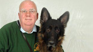 dog training