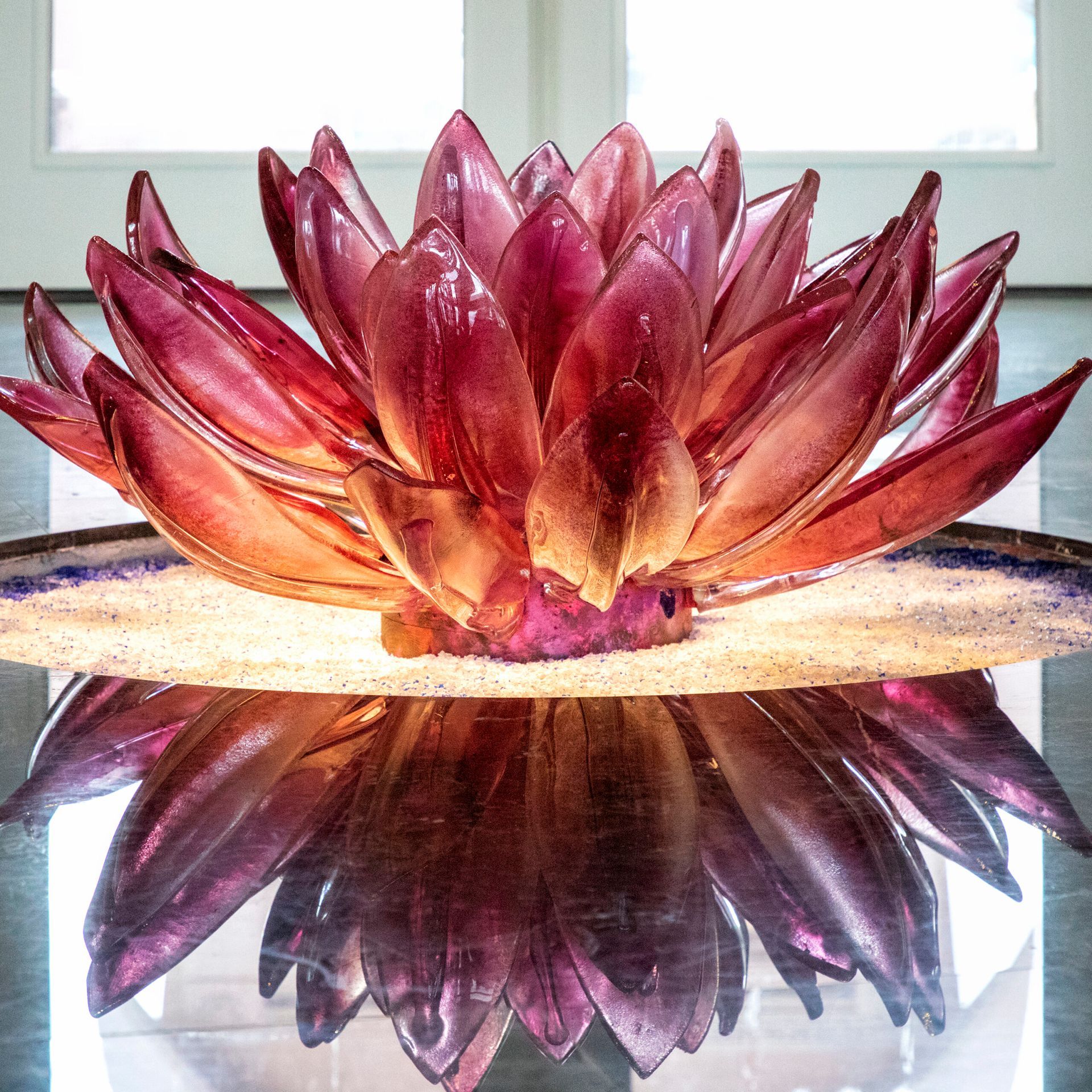 A purple flower is sitting on a table with a window in the background.