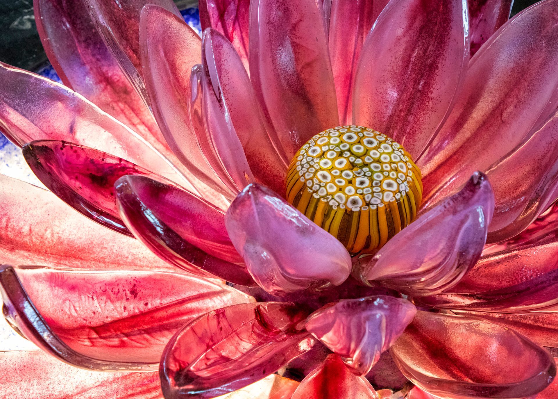 A close up of a pink flower with a yellow center
