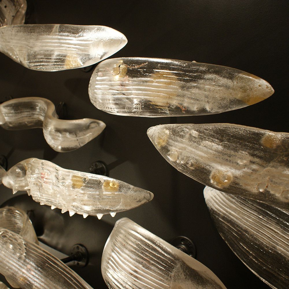 A bunch of clear objects are hanging on a wall