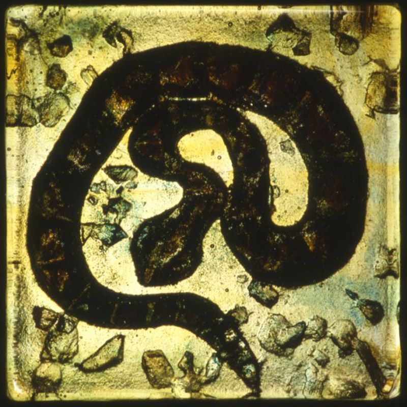 A picture of a snake on a rocky surface