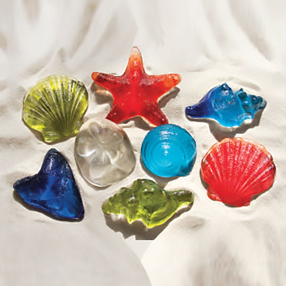 A group of seashells and starfish are sitting on a white cloth