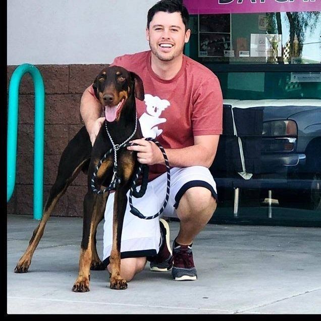 Dog Daycare & Boarding Gilbert AZ Johnny's Doghouse