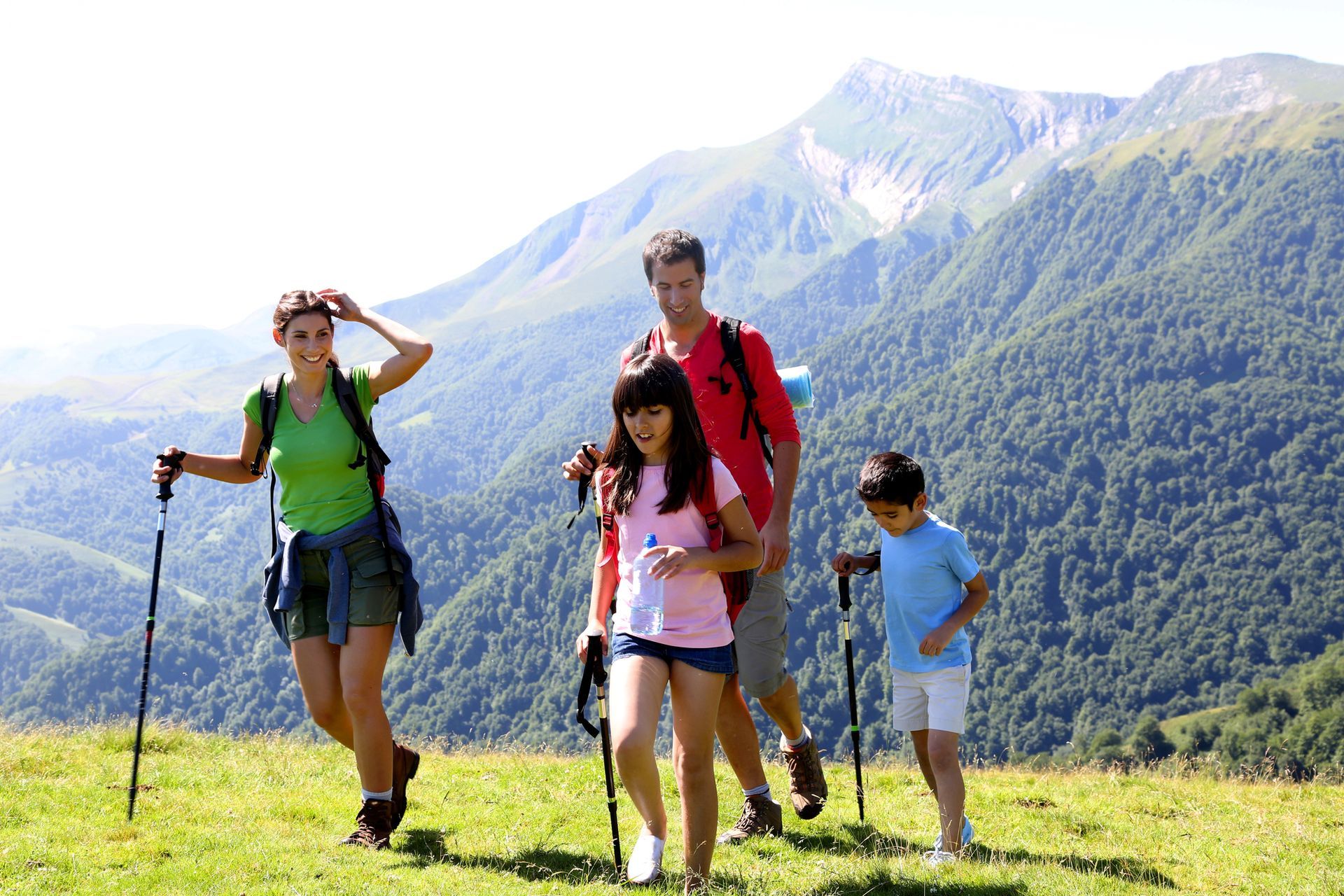 Cuatro excursionistas con bastones en un sendero de montaña cubierto de hierba, con picos boscosos al fondo.