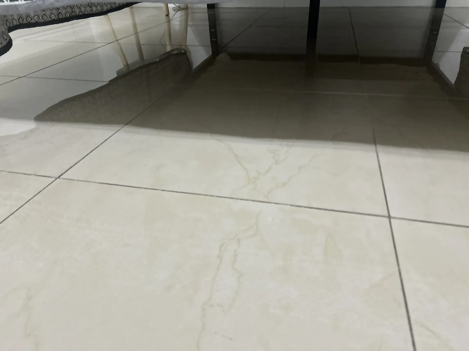 Floor Cleaning