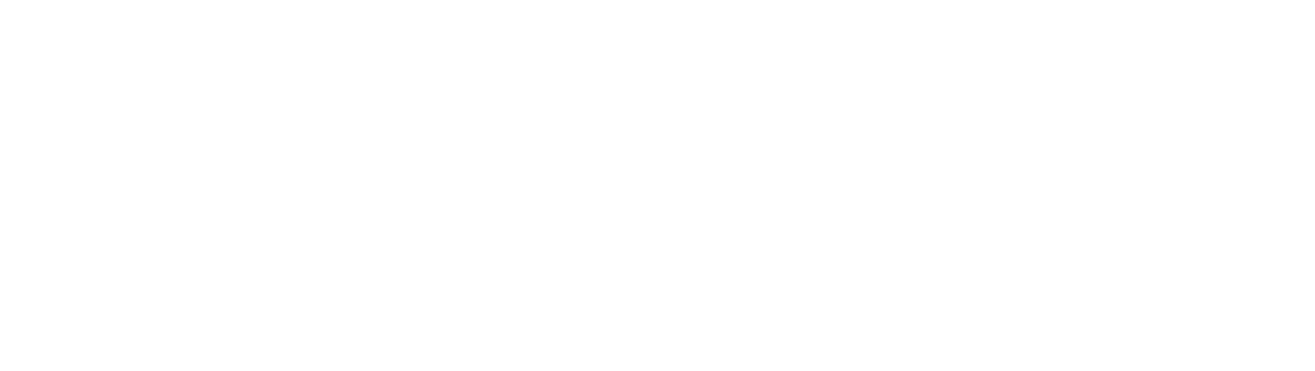 NZ CA