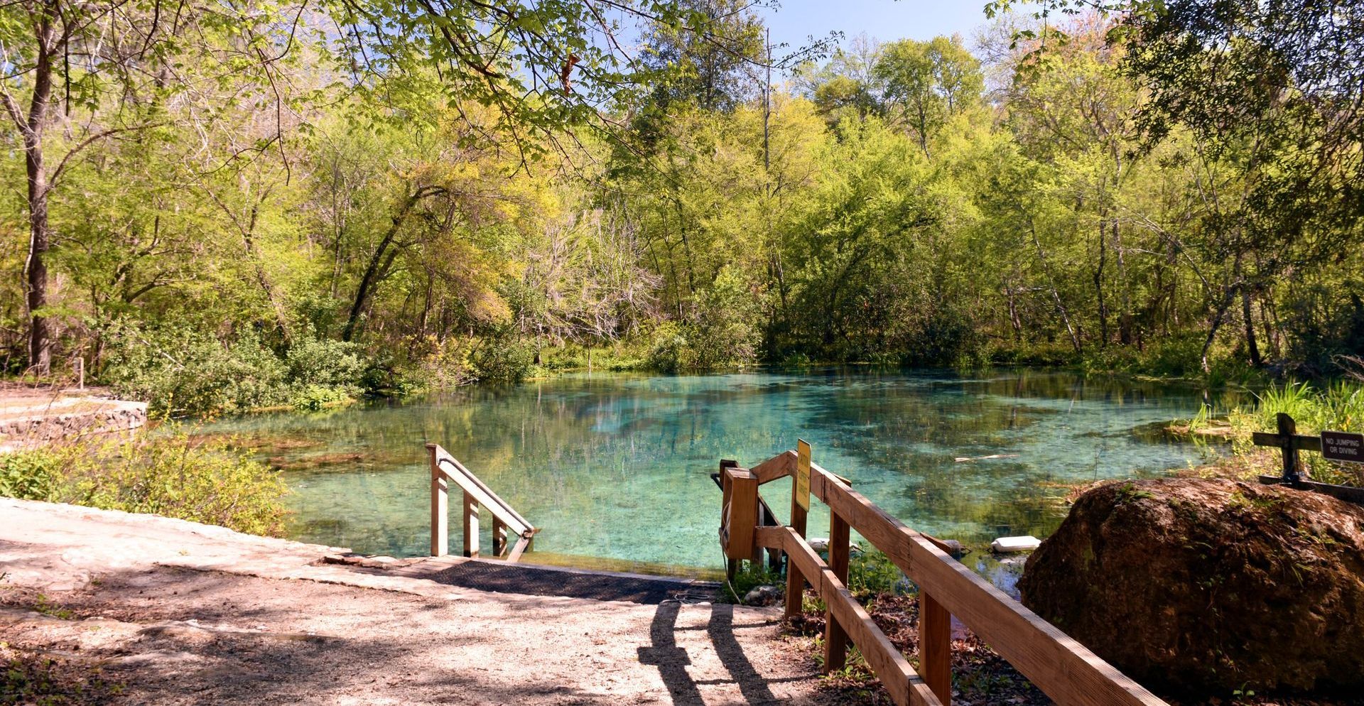 A wooden bridge leading to a lake in the middle of a forest.