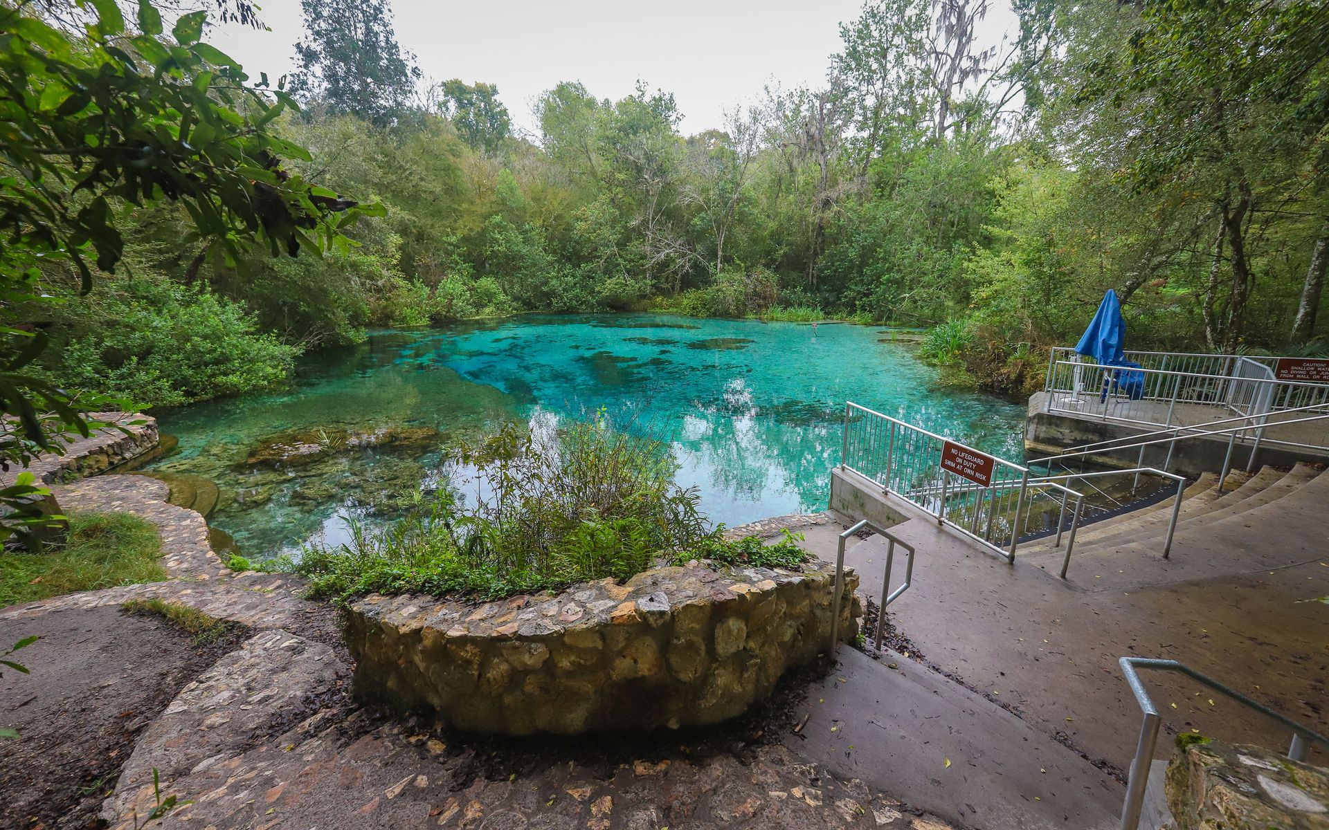 A small pond in the middle of a forest with stairs leading to it.