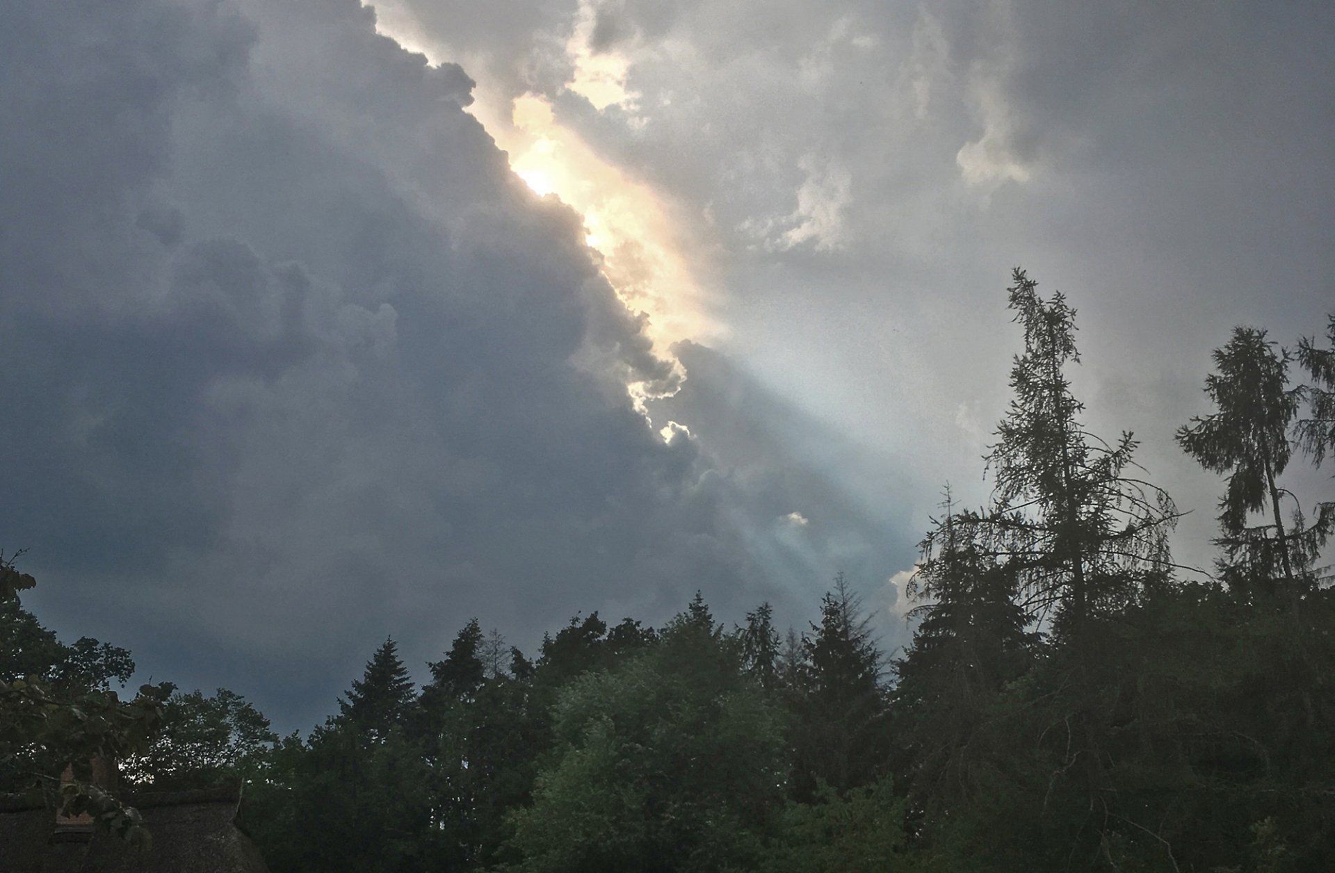 Heraufziehendes Gewitter im Elbholz, 2020