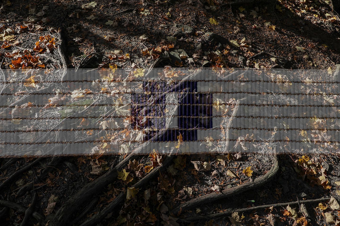 Martha&Mary