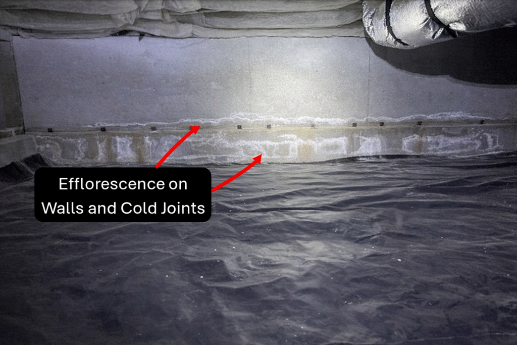 Basement wall with white efflorescence highlighted by a red arrow and label.