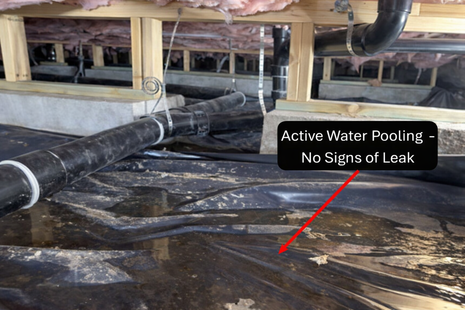 Water pooling under floor joists, with a label noting “Active Water Pooling - No Signs of Leak”