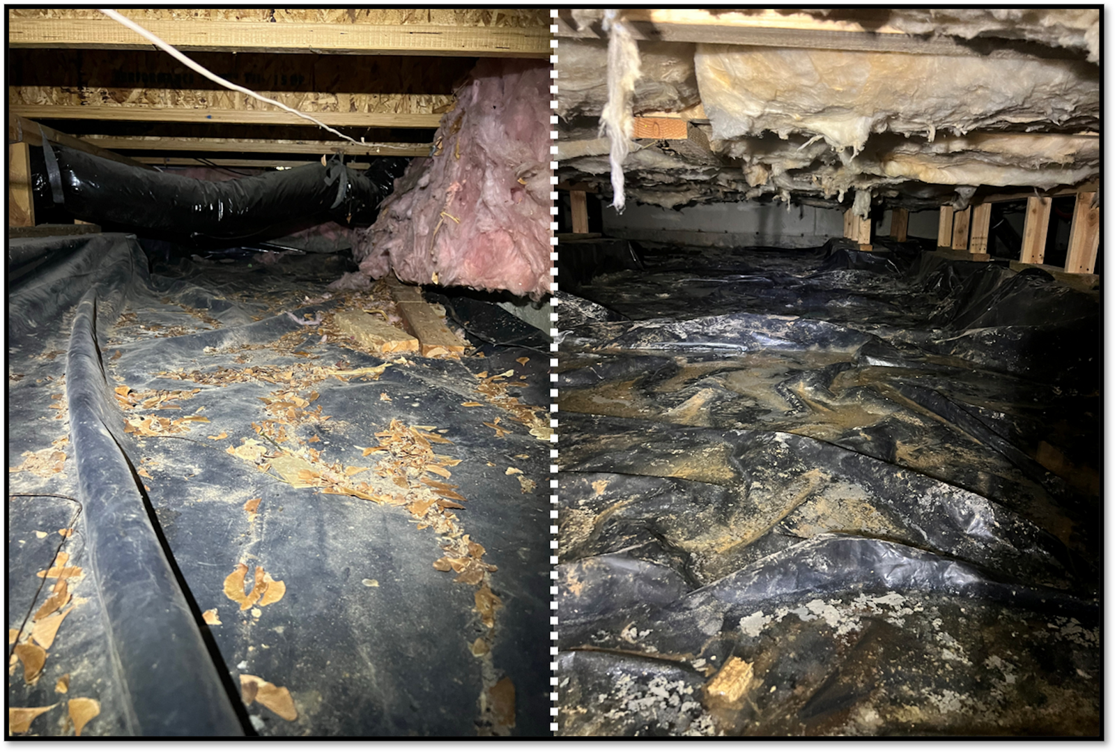 Crawlspace with torn black vapor barrier, wet insulation, and sagging damaged floor joists