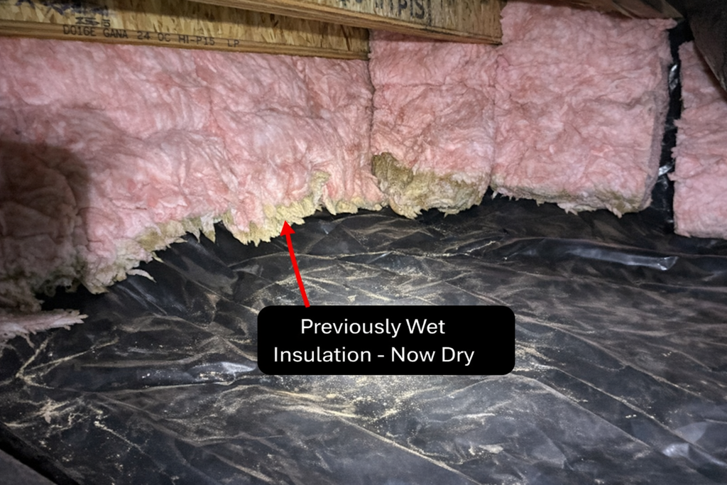 Insulation in attic labeled “Previously Wet Insulation - Now Dry” over black vapor barrier