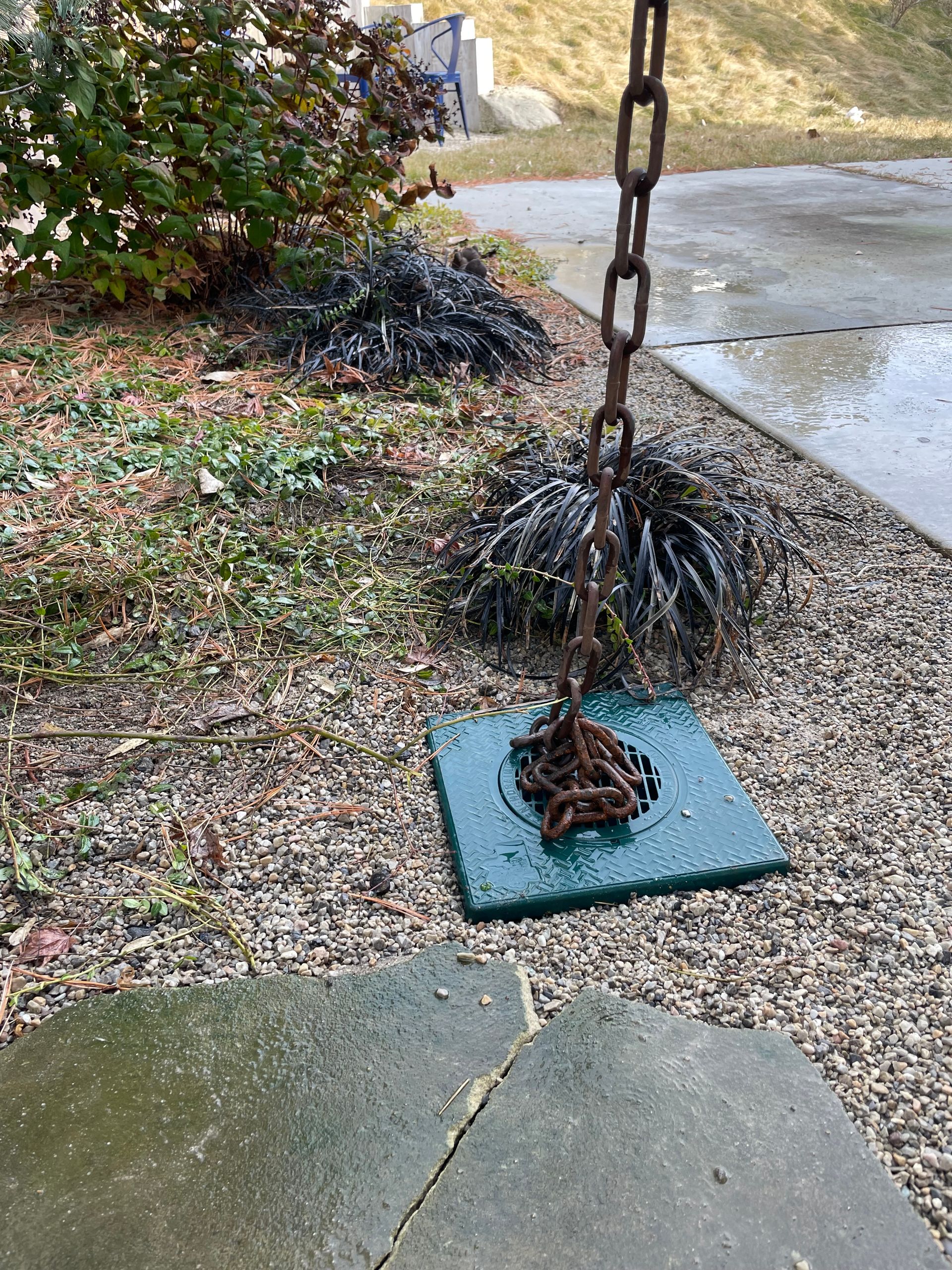 Hanging chain over a wet blue drain cover beside a driveway and mulch bed