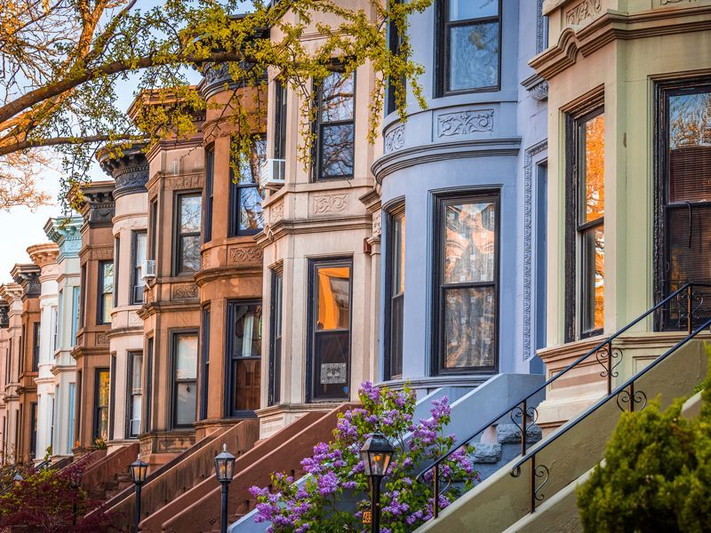Row houses with colorful facades and stoops on a tree-lined city street