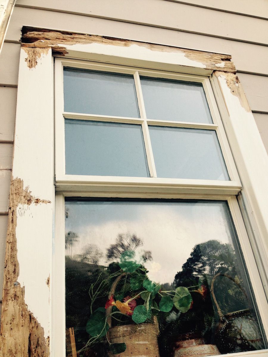 Window frame with decaying wood, white trim, reflected plants and sky.