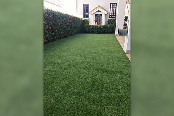GRASS & DECK TU ESPACIO ECOLÓGICO - JARDÍN SINTÉTICO