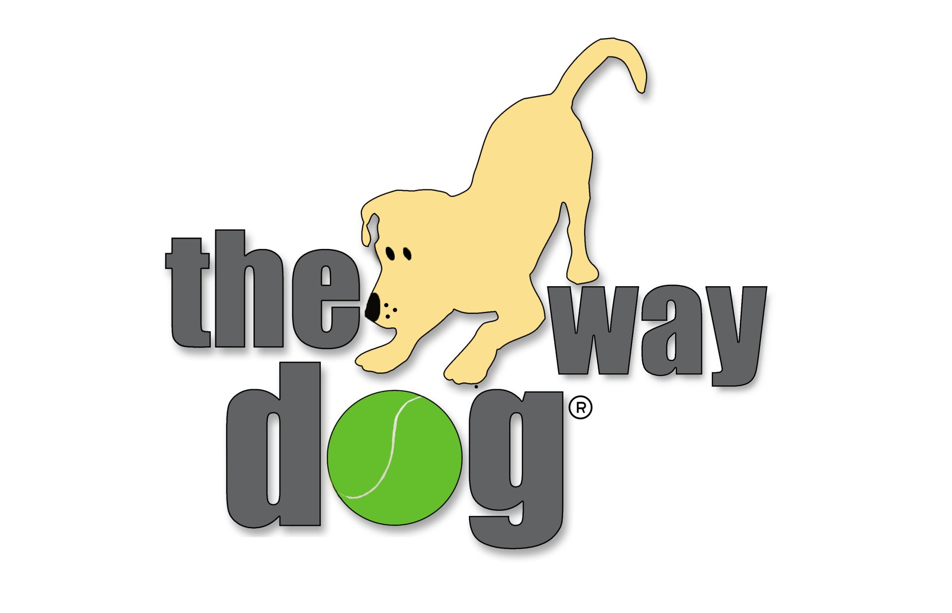 Dog Grooming & Training, The Dog Way, Billingshurst. Sussex