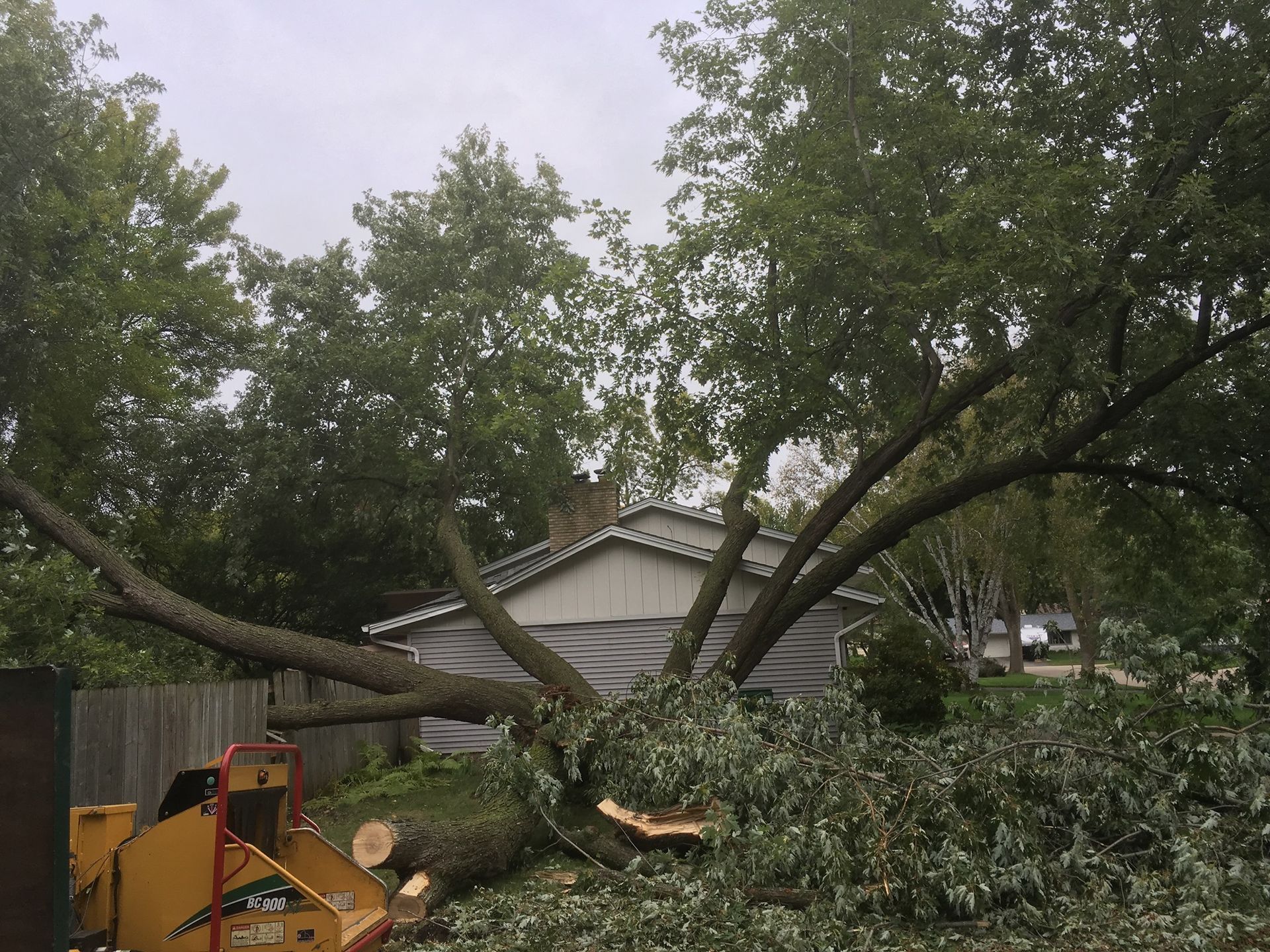 Storm-damaged tree fallen over a yard, blocking a fence and partially covering a house