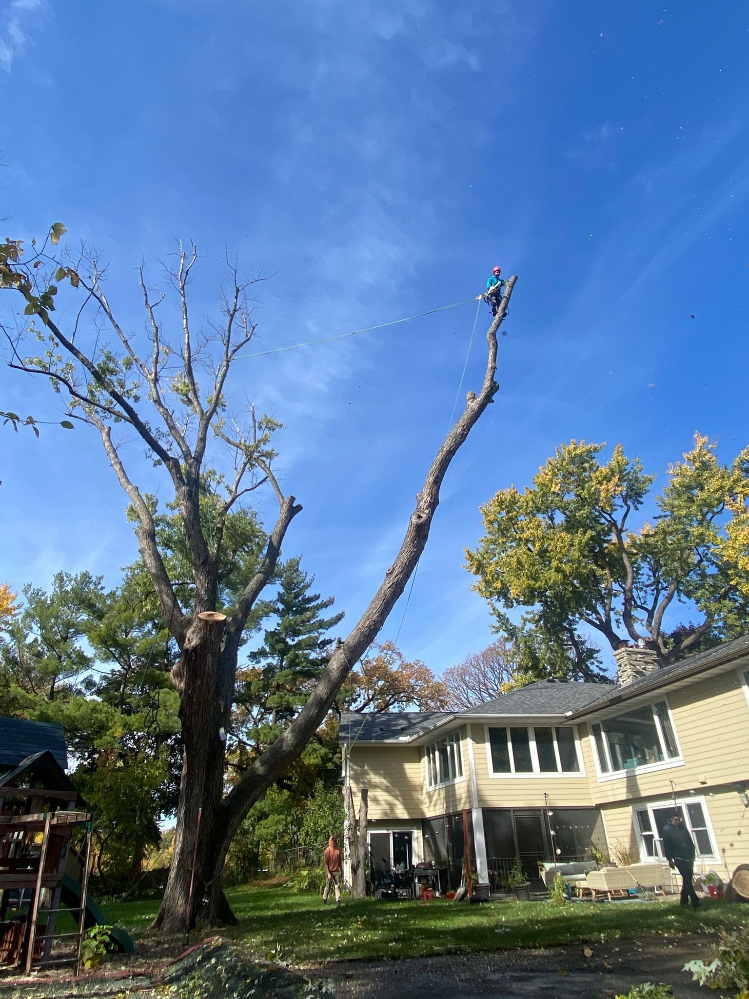 Backyard with a tall, leafless tree against a blue sky beside a two-story house