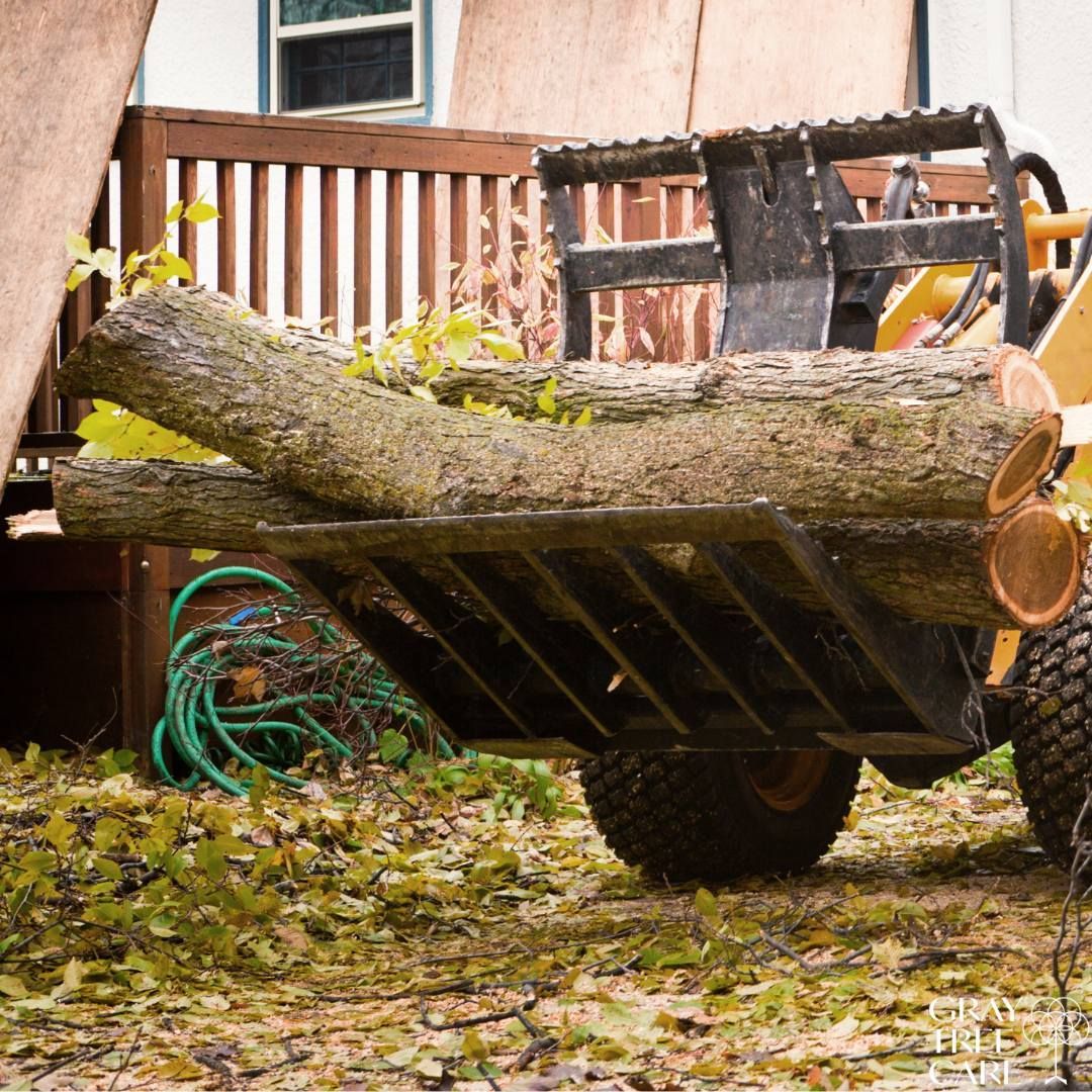 A utility cart carrying large cut logs in a yard, with a house and coiled green hose nearby.