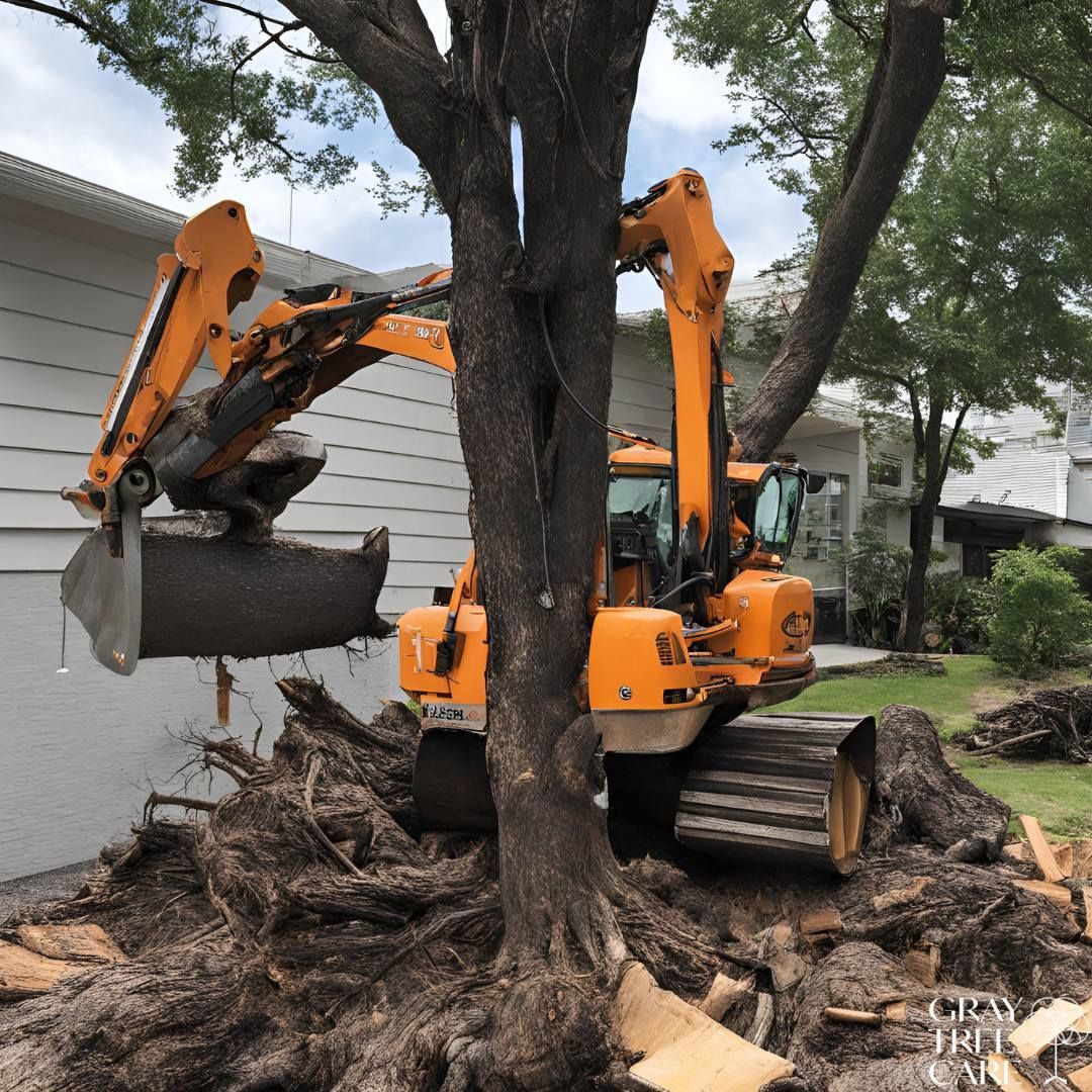 Orange excavator removing a large tree stump beside a house on a residential street