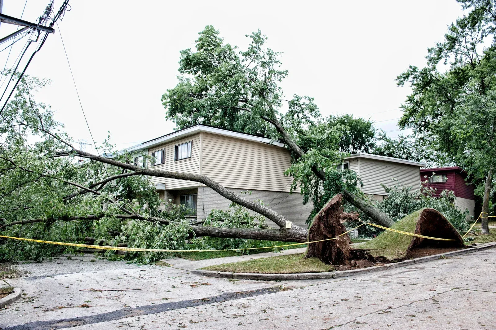 Storm damage on a street: a fallen tree blocks the road near a house and downed power lines.
