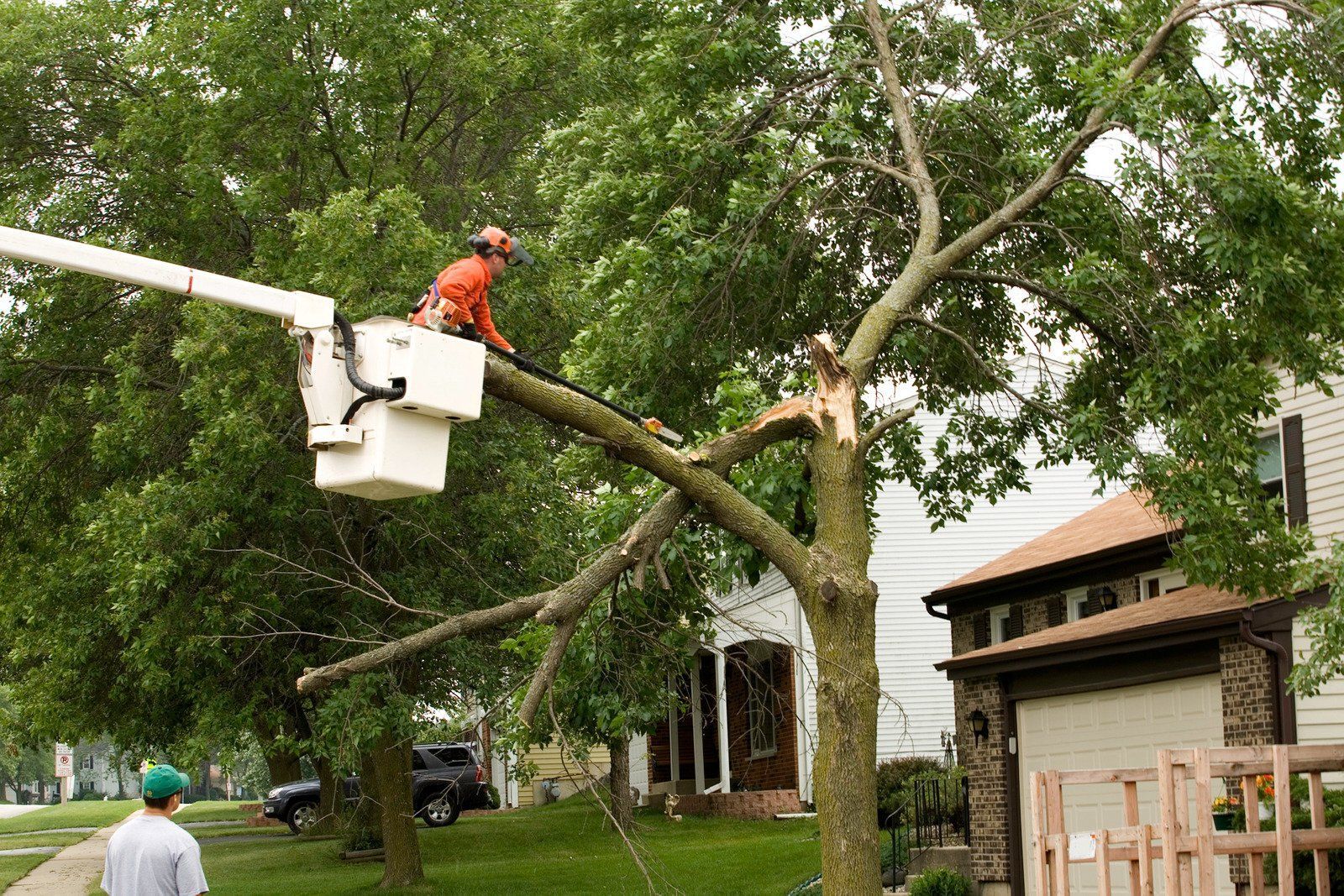 Worker in an orange safety vest trimming a tree from a bucket lift in a residential yard.