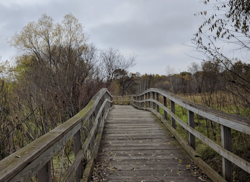 A wooden bridge leading to a field surrounded by trees on a cloudy day.
