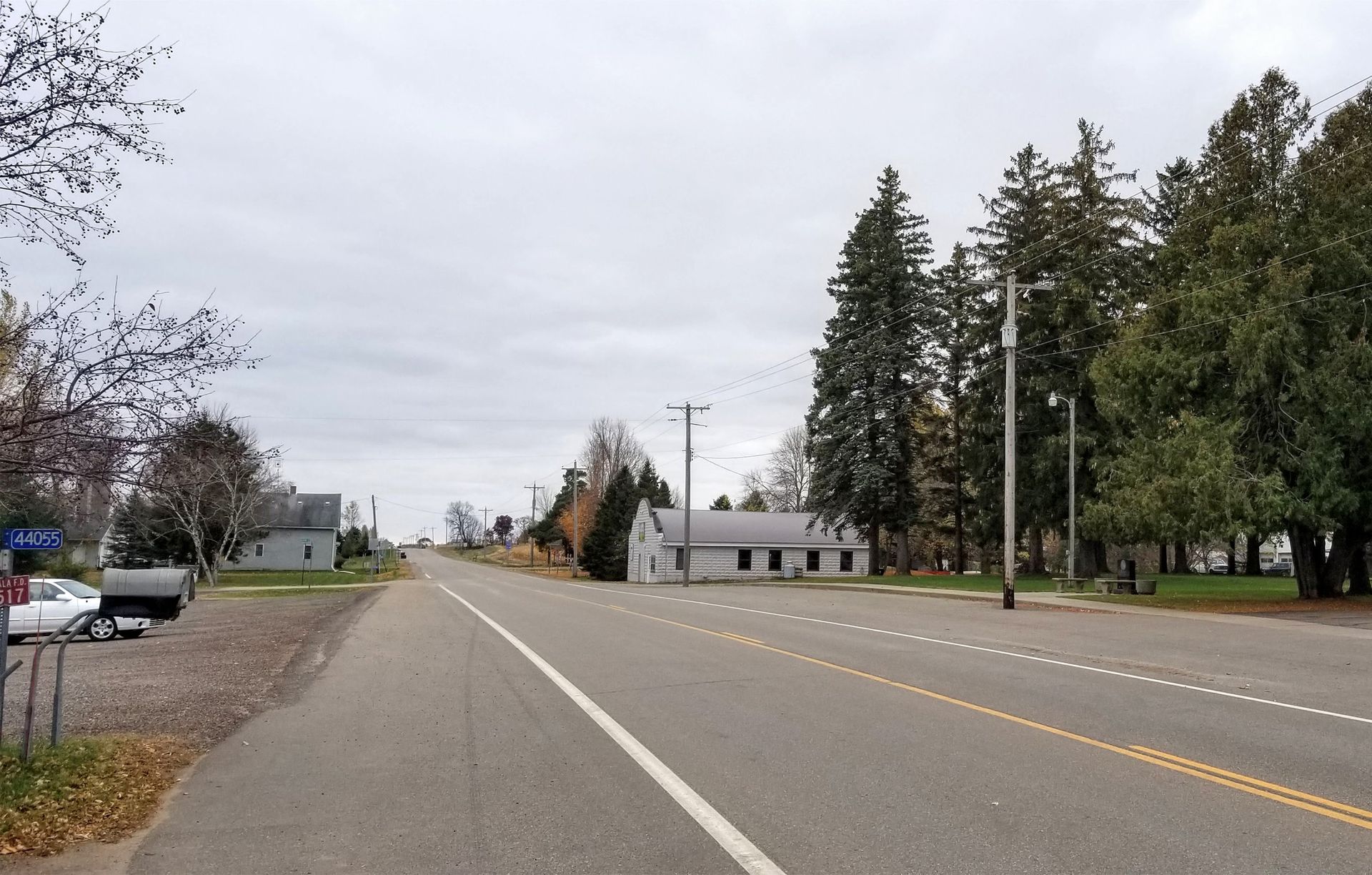 A road with a white line on it and trees on both sides