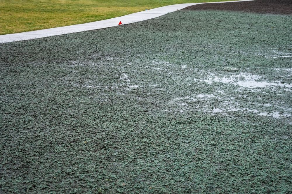Icy sports field with a white boundary line and a small orange cone at the edge