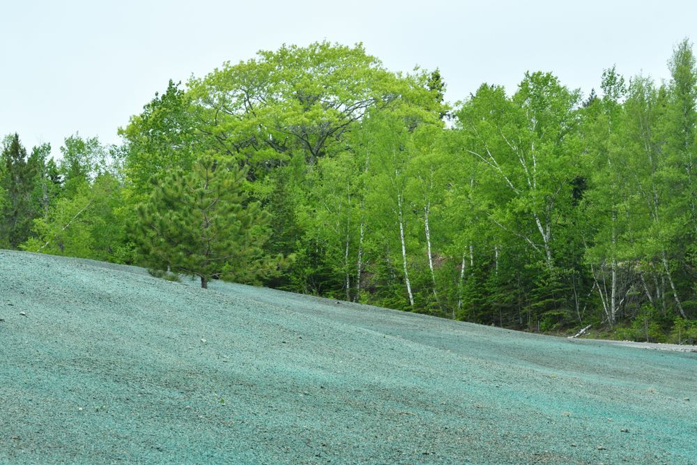 Gravel embankment beside a stand of green trees under a pale sky