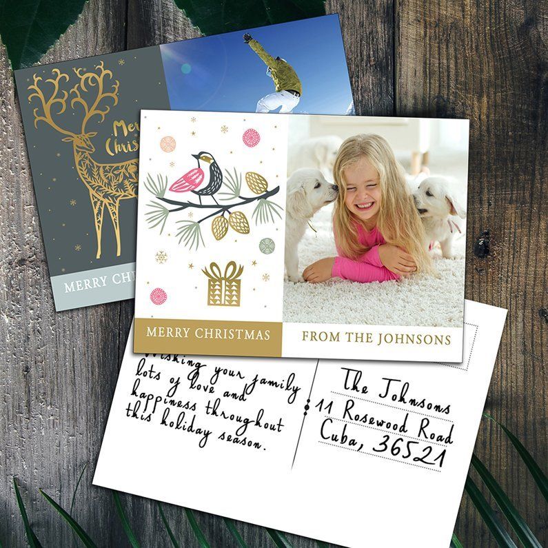 Holiday greeting cards with a bird design and a child with a white dog on a wooden surface