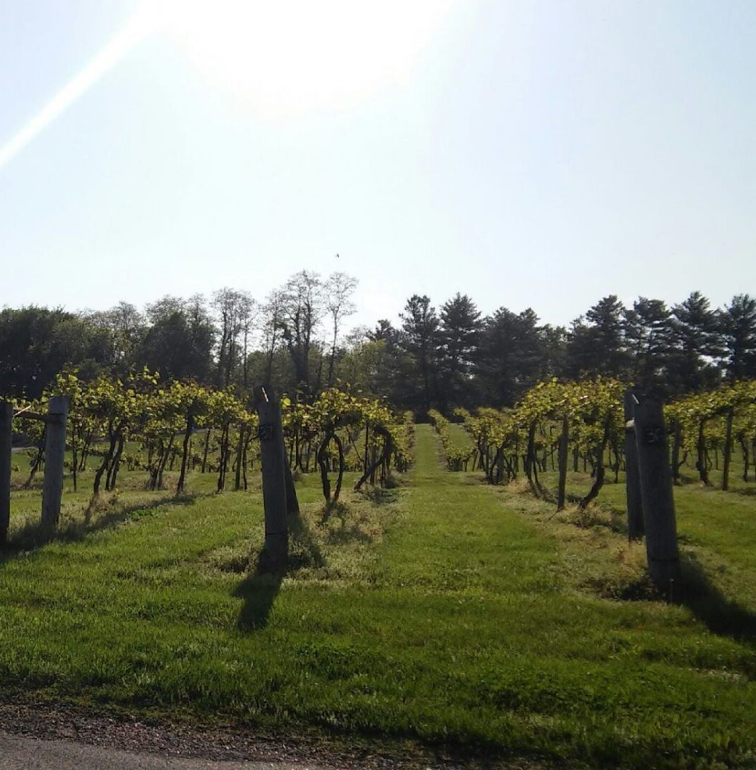 Contact Concierge SUV | Winery Trips | Les Bourgeois
