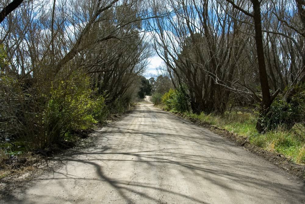 A Dirt Road Going Through a Forest With Trees on Both Sides — Jim Wall Automotive in Moss Vale, NSW