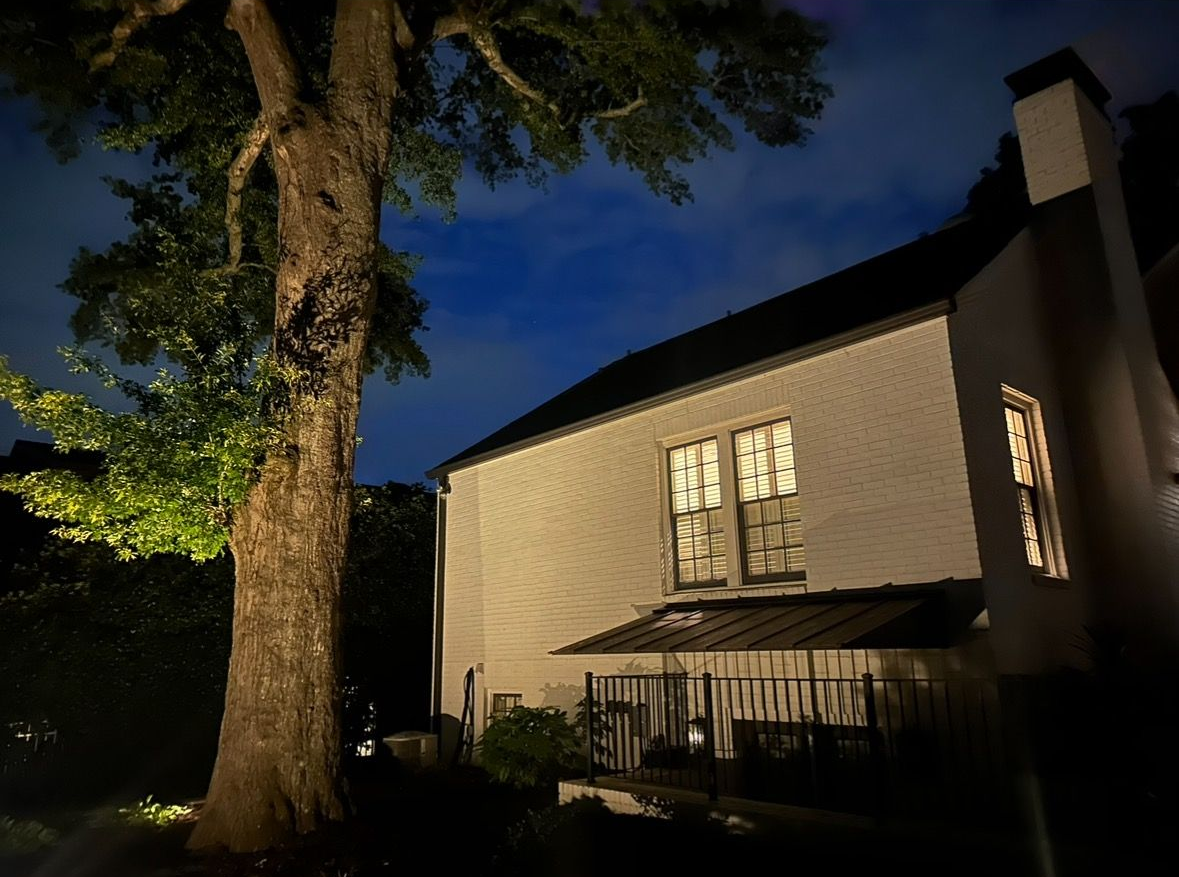 House lit at night beside a large tree under a dark blue sky