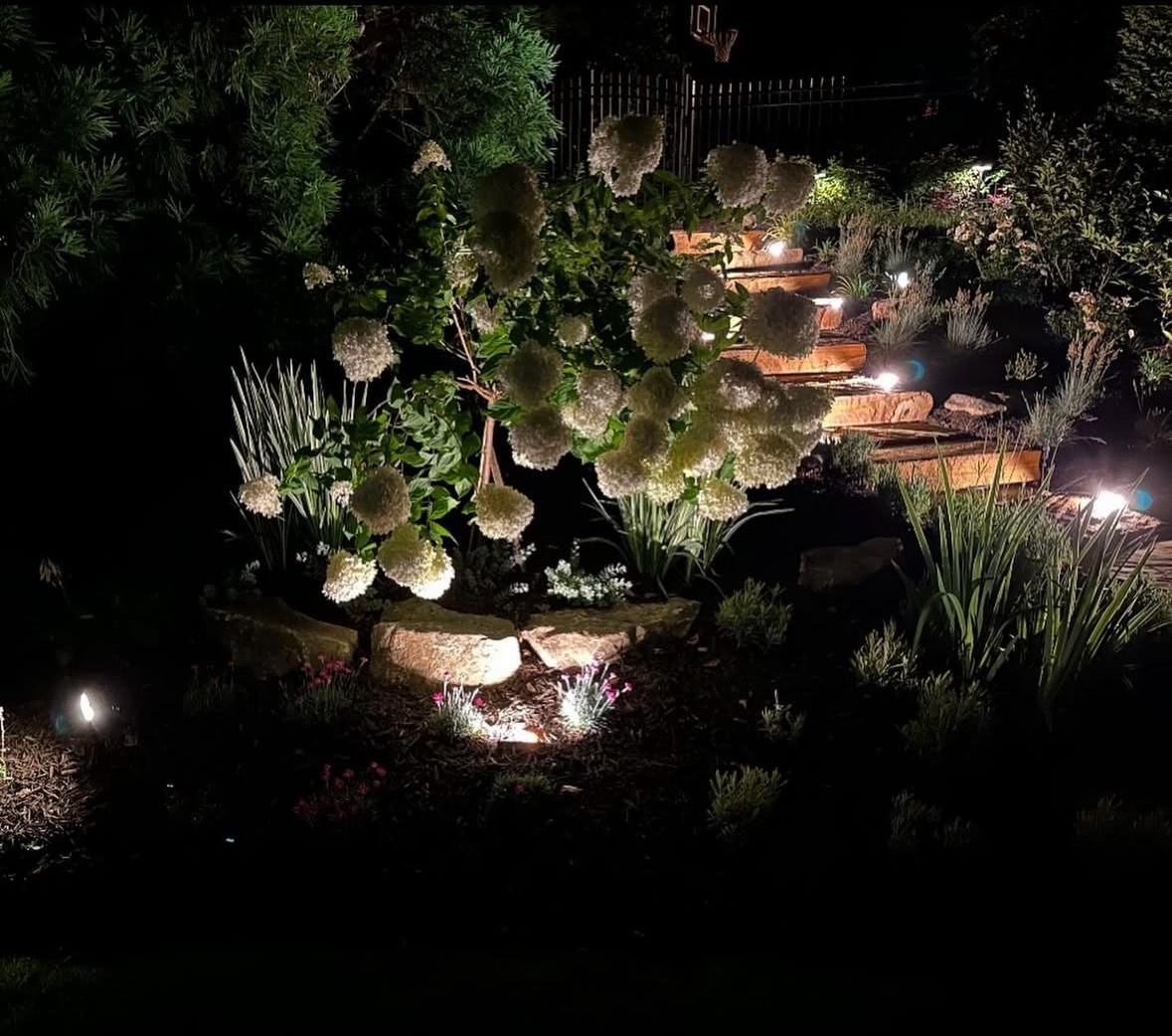 Night-lit garden path with rocks, tall grasses, and glowing landscape lights among dense greenery