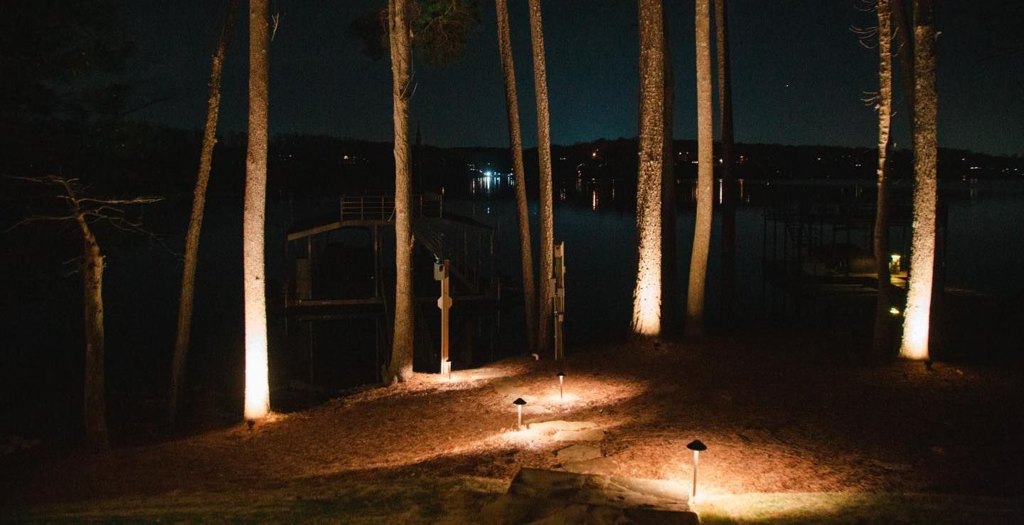 Lit path through a dark wooded area, with tall trees illuminated by warm ground lights.