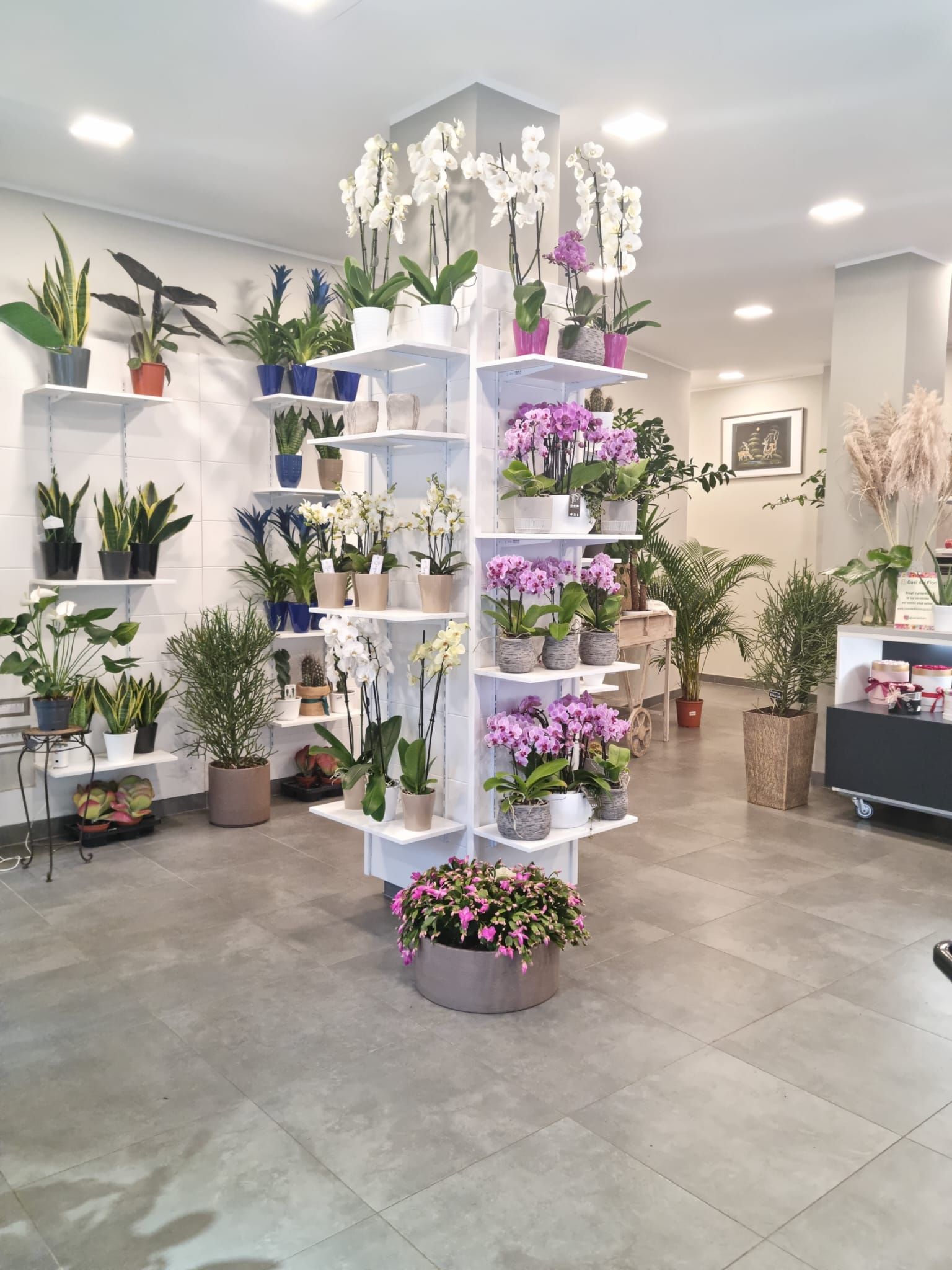 mazzo di fiori